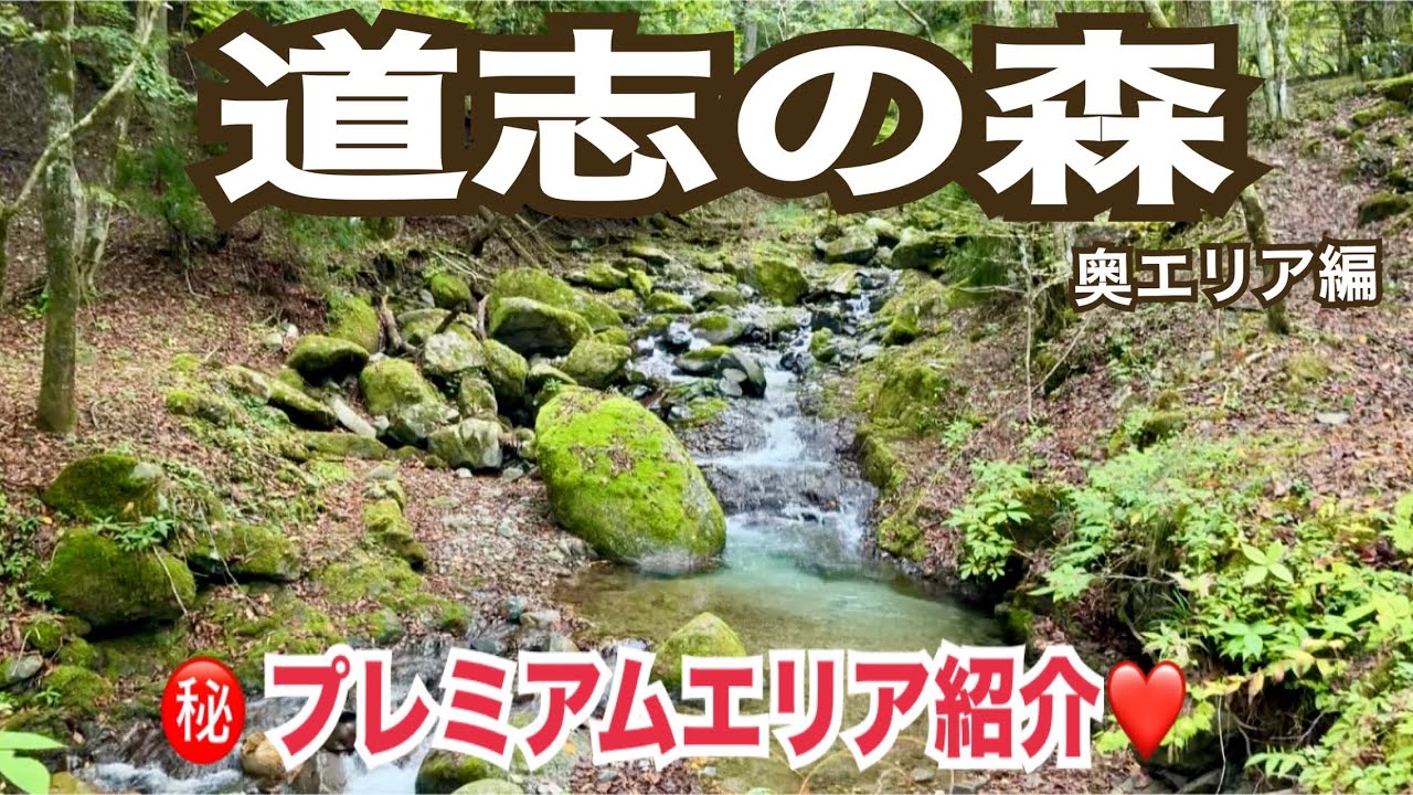【キャンプ施設紹介】道志の森キャンプ場・奥エリア編リピ確定サイト発見❣️