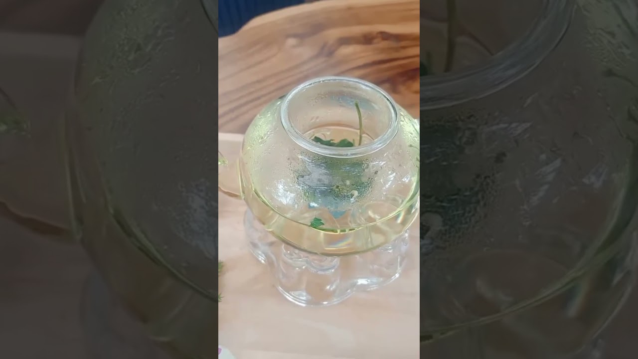 High Tea in Hua Hin @cannabis thailand @cannabis tea @medical cannabis 