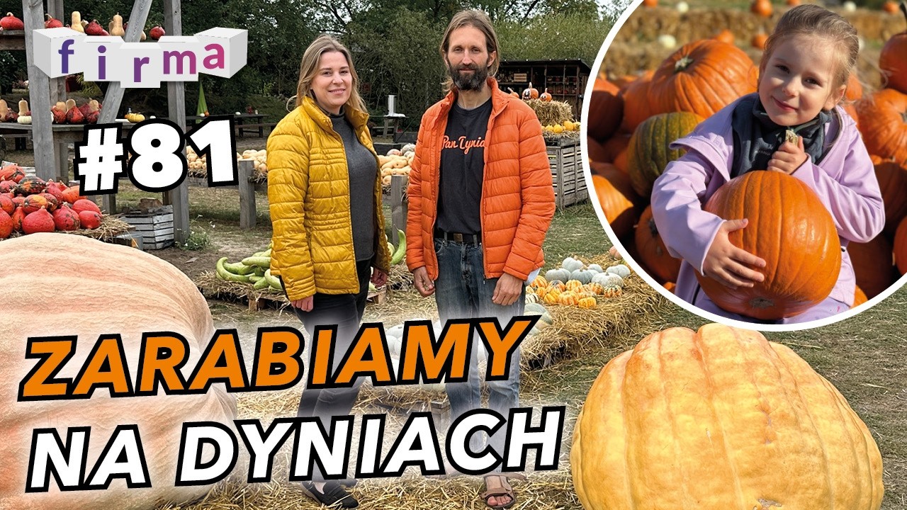 Farma dyń Dynioland: zysk i zabawa #81