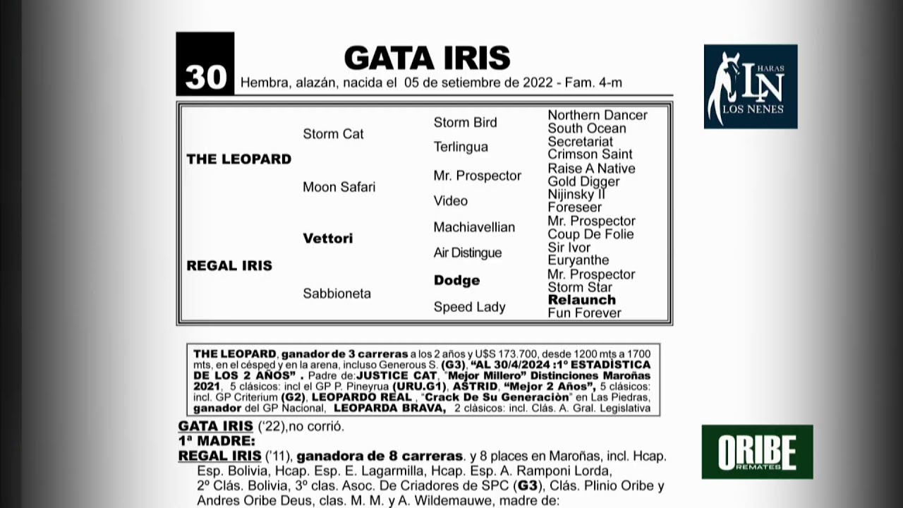 12/03/26 HARAS LOS NENES - Liquidación Total l ORIBE REMATES