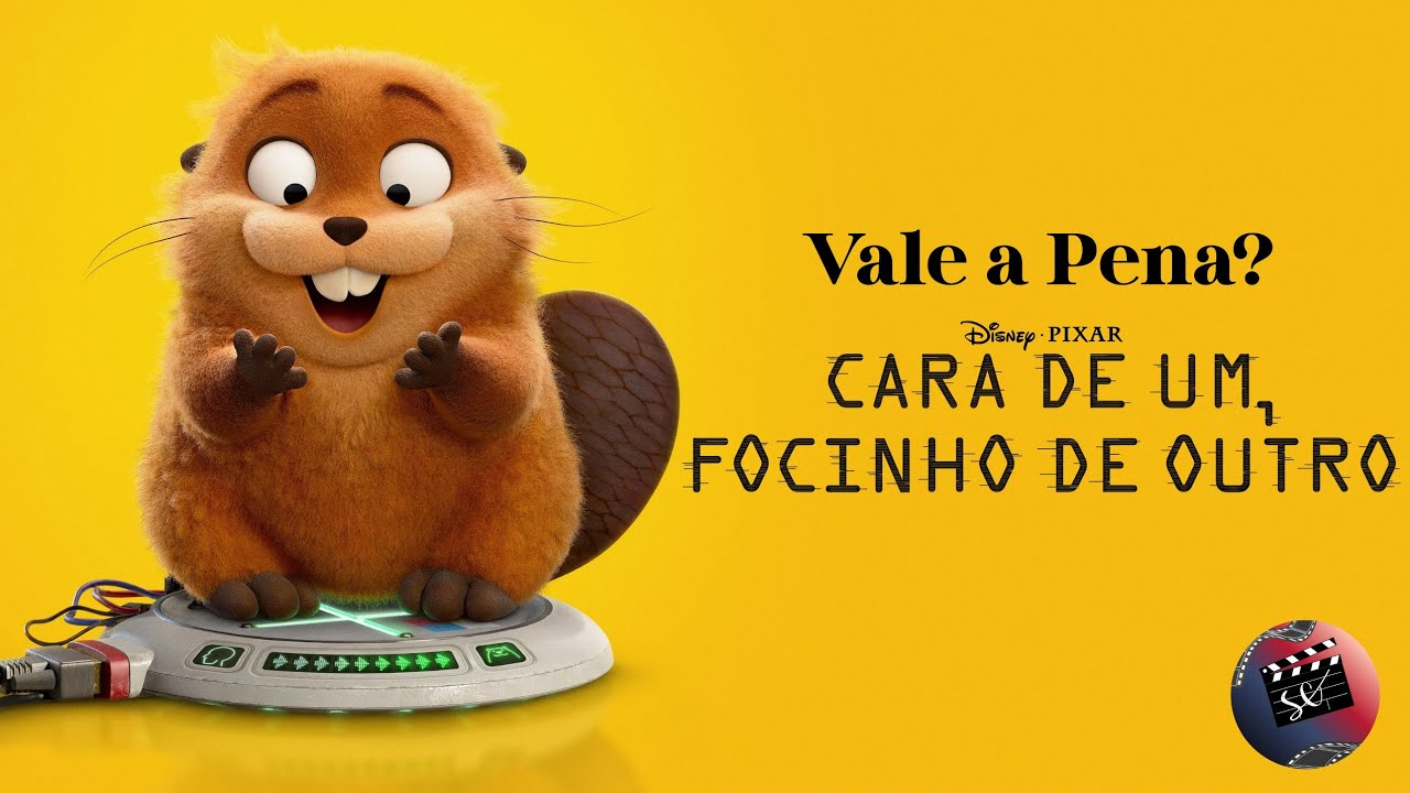 cara de um focinho de outro