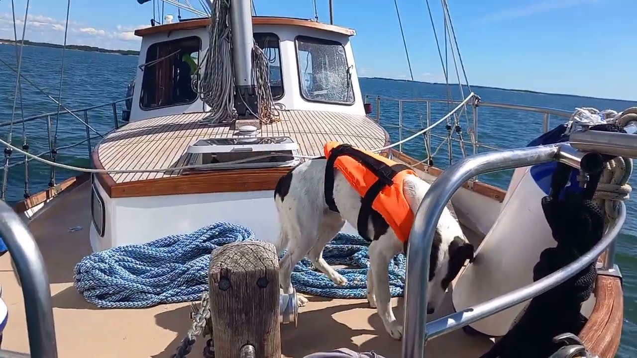 First Year with Nauticat33