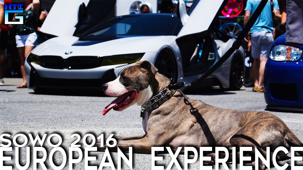 European Experience: SoWo 2016 Aftermovie