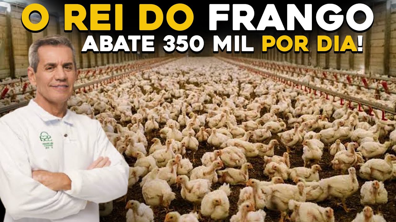 MAIOR GRANJA DO BRASIL - ELE COMEÇOU DO ZERO E HOJE TEM MILHÕES DE GALINHAS!