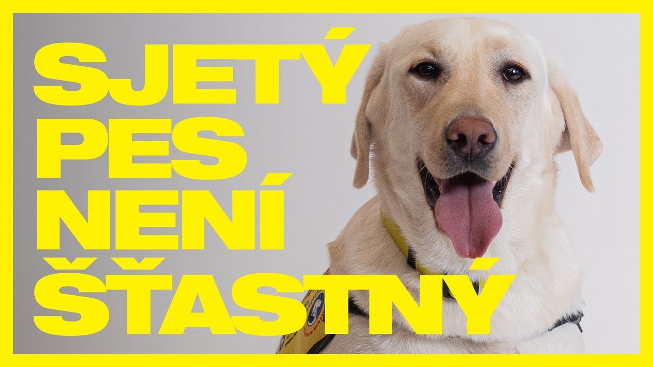 JSEM PSJETEJ (6 HOURS VIDEOCLIP)