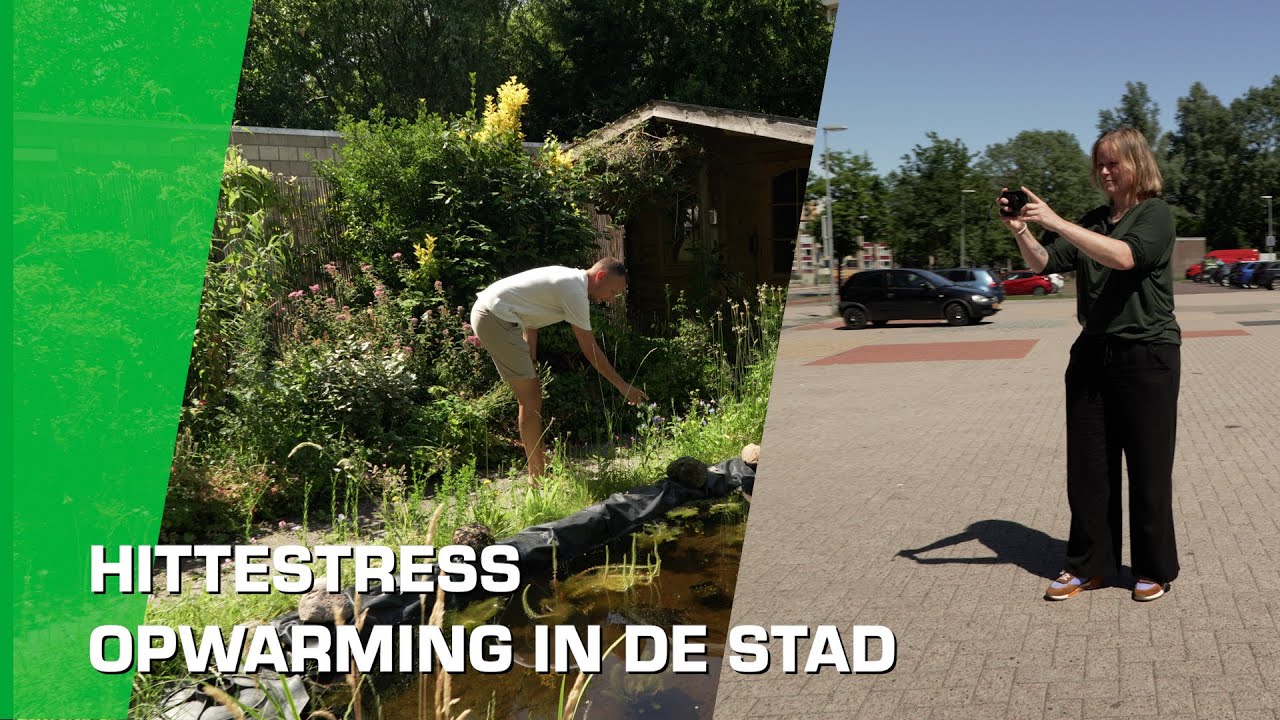 Hittestress in Groningen | Bouwstof