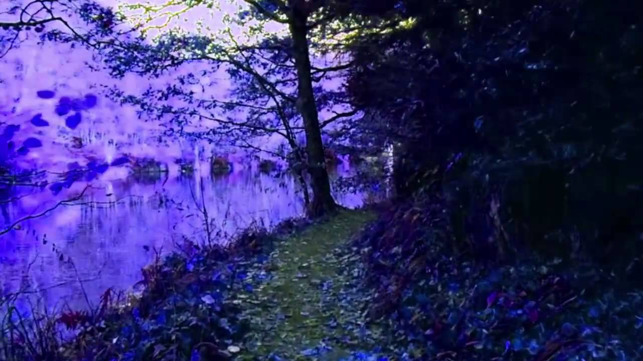 Jessy Blue-Magic forest