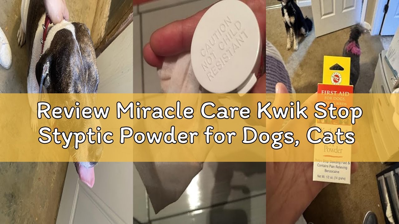 Review Miracle Care Kwik Stop Styptic Powder for Dogs, Cats and Birds, 1.5 Ounce, Fast-Acting Blood