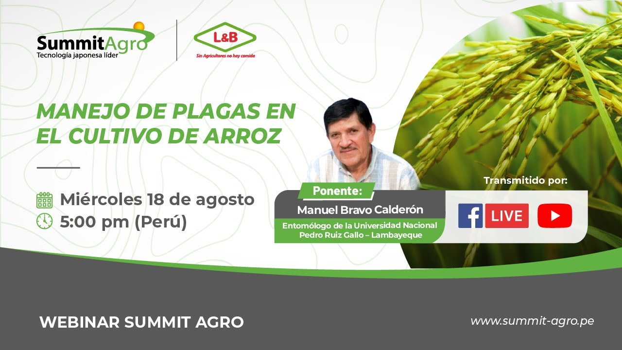 Summit Live: 
