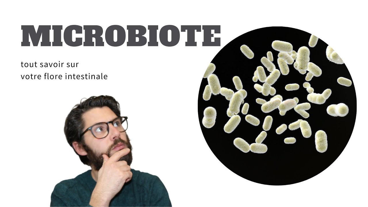 Le pouvoir du microbiote intestinal