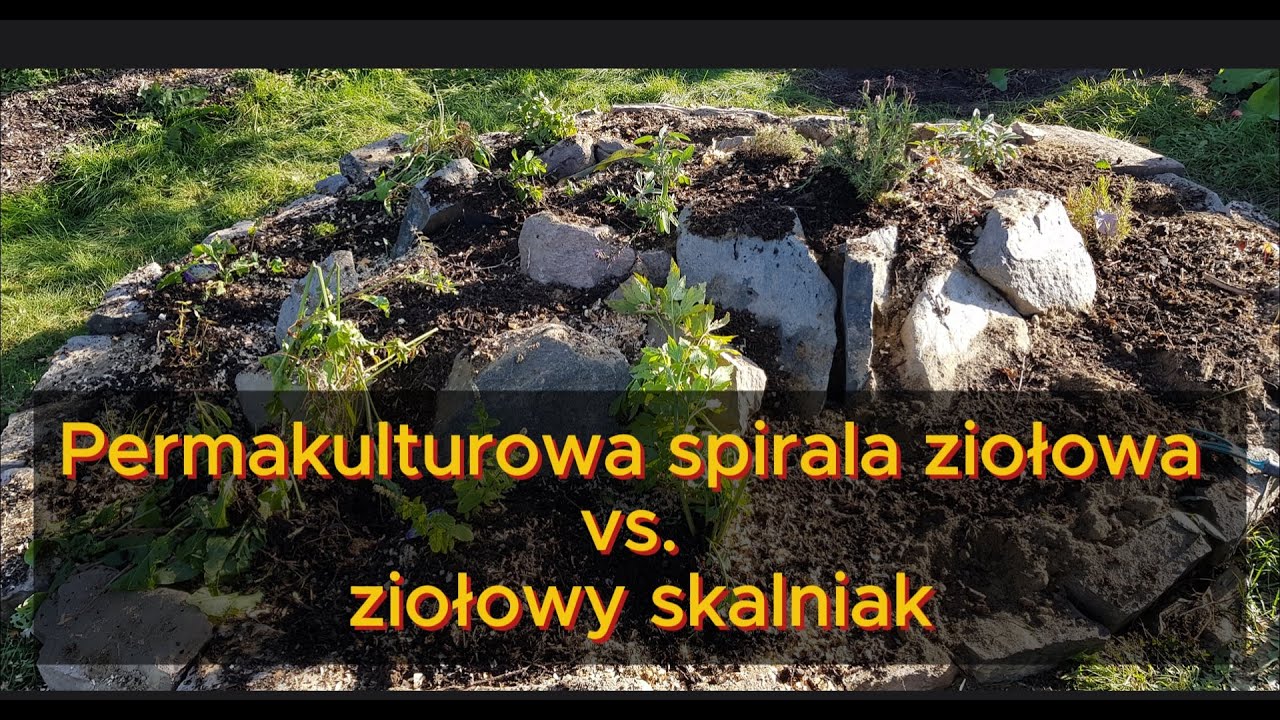 Permakulturowa spirala ziołowa vs. ziołowy skalniak