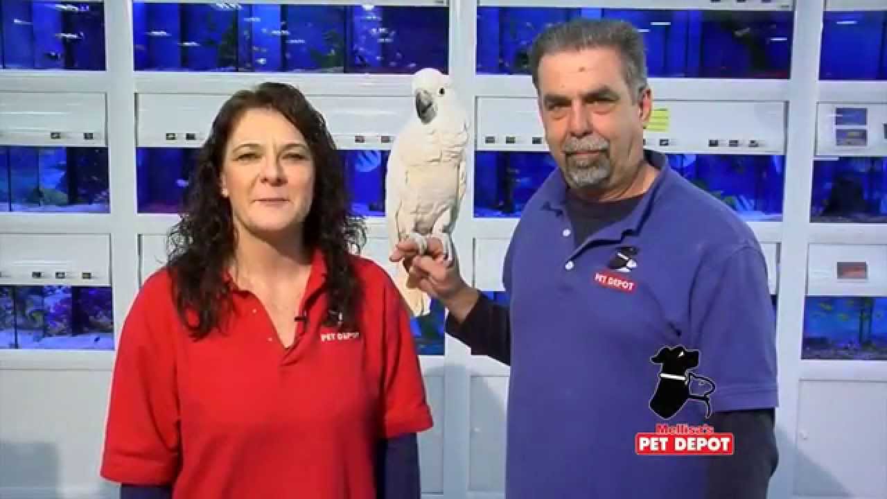 Mellisa's PET DEPOT® N. Dartmouth & Fairhaven, MA