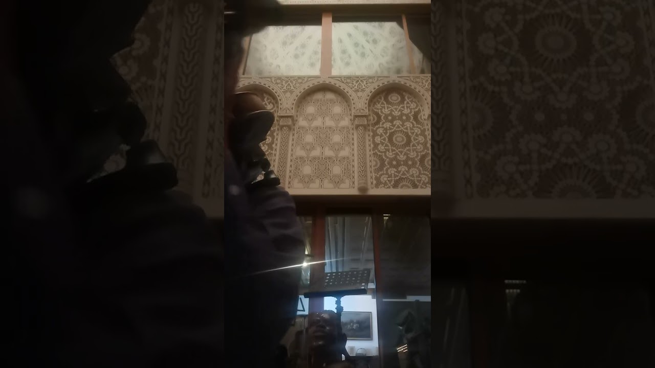 جانا الهوا للفنان عبد الحليم حافظ عزف د سامي جمعه 