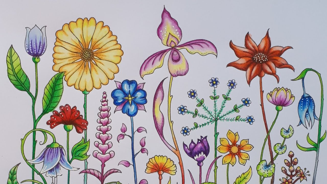Derwent Inktense pour débutants #2 - WORLD OF FLOWERS - Johanna Basford