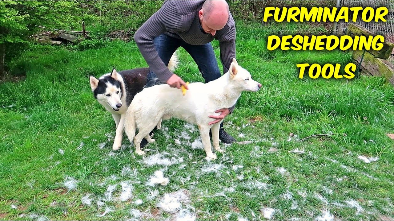 FURminator DeShedding Tools for Dogs