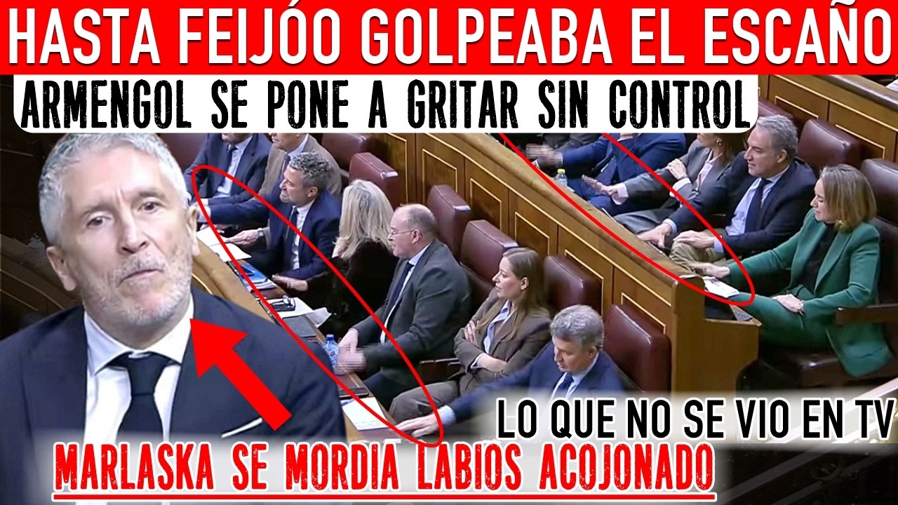 HIST&Oacute;RICO: GRITOS Y GOLPES DE 