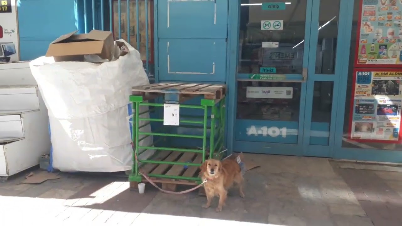 Çankaya Elektronikçiler Çarşısı 🛠