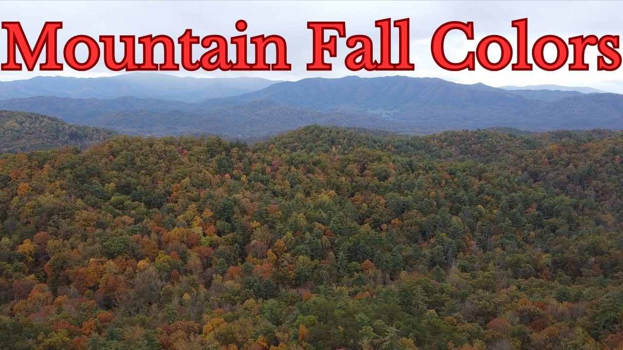 Осенние цвета