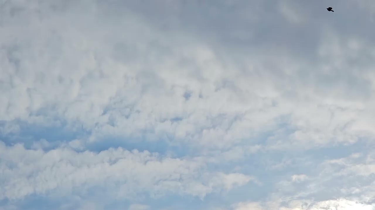 Blue Sky & White Clouds | 1 Hour Calm Music Ambience ☀️ Relaxing Late Morning Sky
