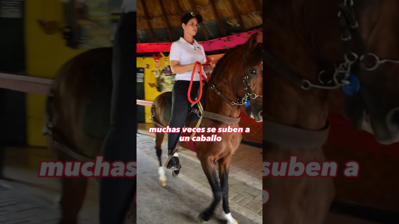 Como montar a caballo #shorts #caballos #tips