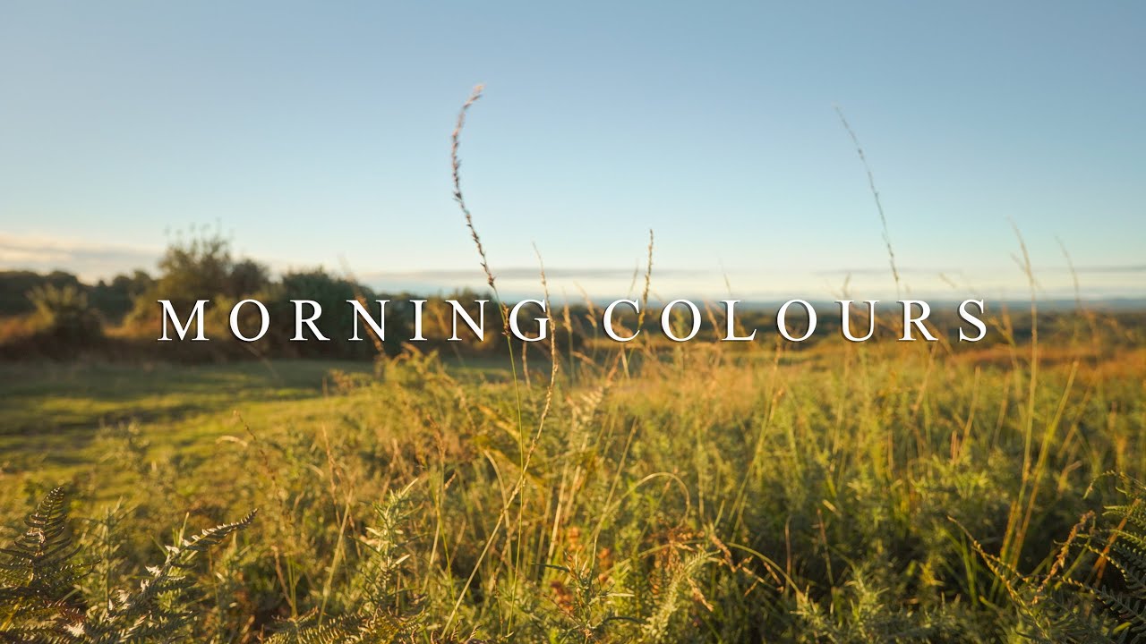 The morning colours at the Airman's Grave, Ashdown Forest | Calm Photography