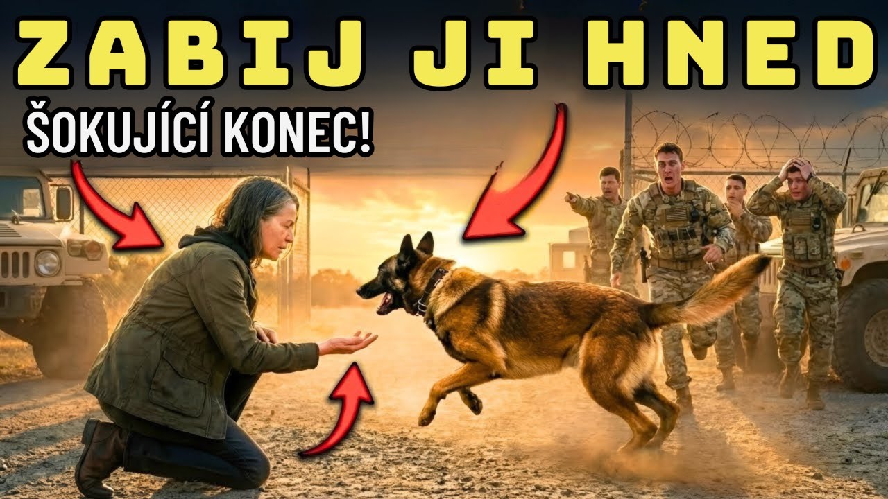 „Zabij ji hned!“ — SEALové hodili novou dívku ke hladovému K9. Netušili kým je.