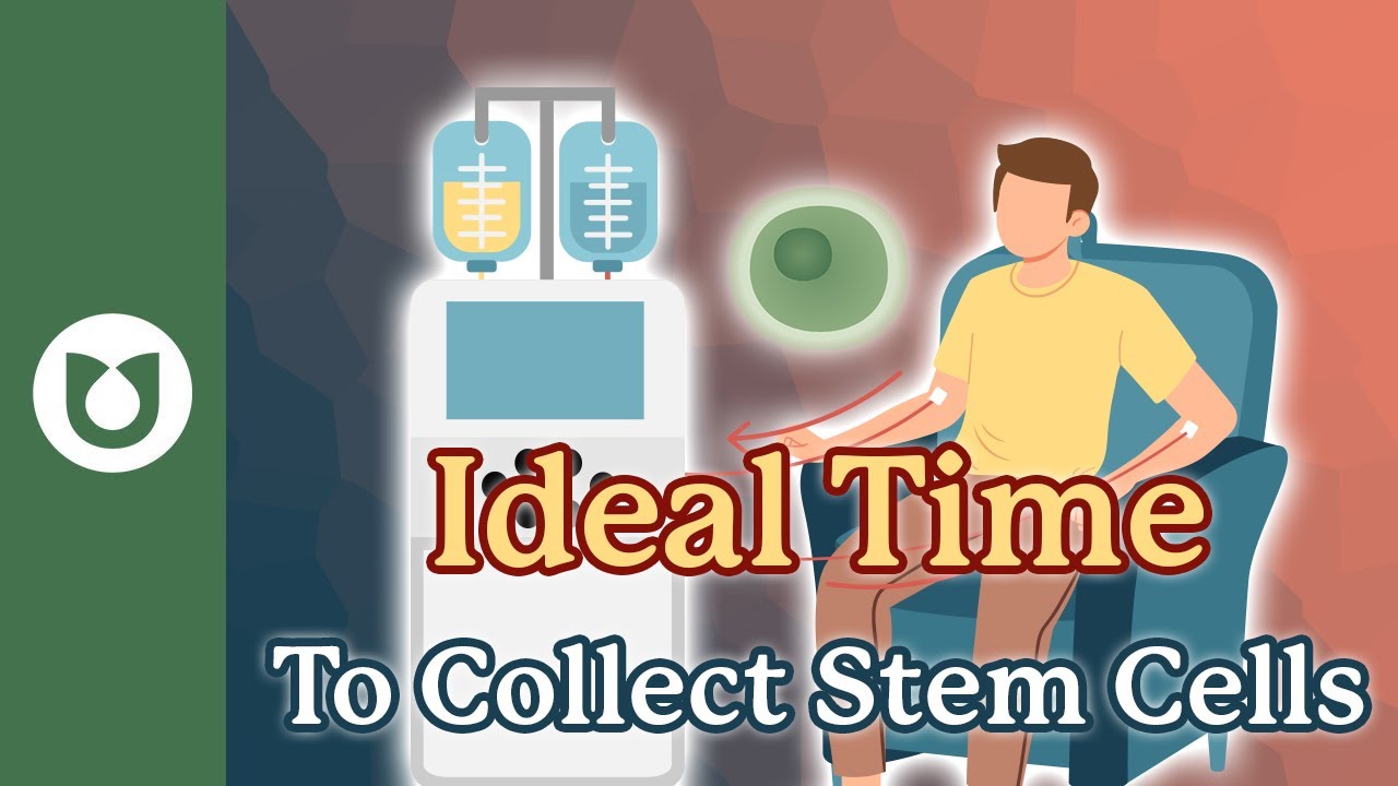 Top things to know when harvesting stem cells for a autologous stem cell transplant! #myeloma