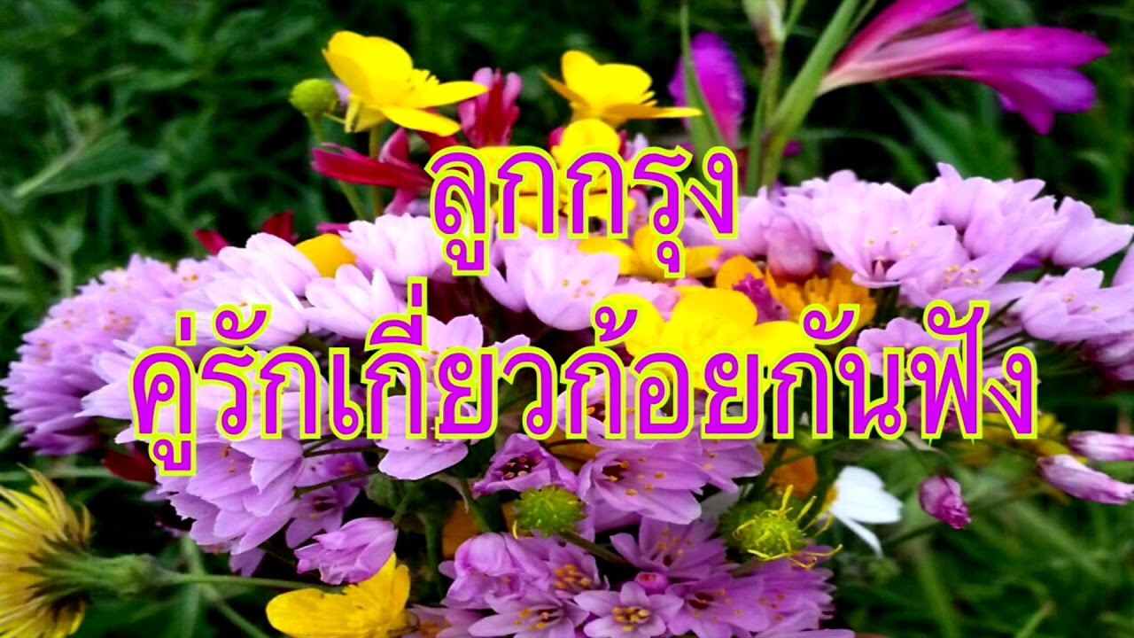 ลูกกรุง คู่รักเกี่ยวก้อยกันฟัง