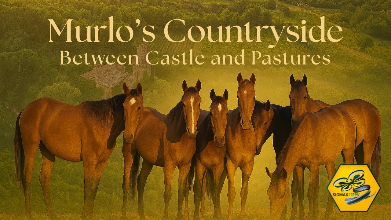 Murlo’s Countryside: Between Castles and Pastures