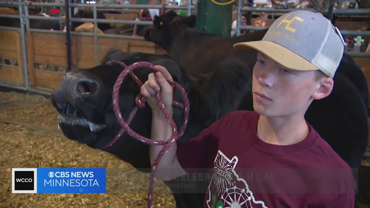 Kids show off animals, projects at the Minnesota State Fair