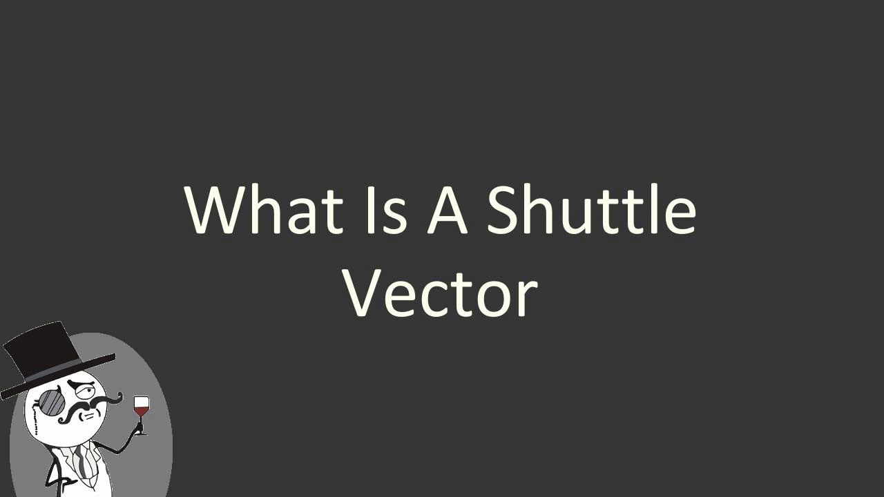 What is a shuttle vector