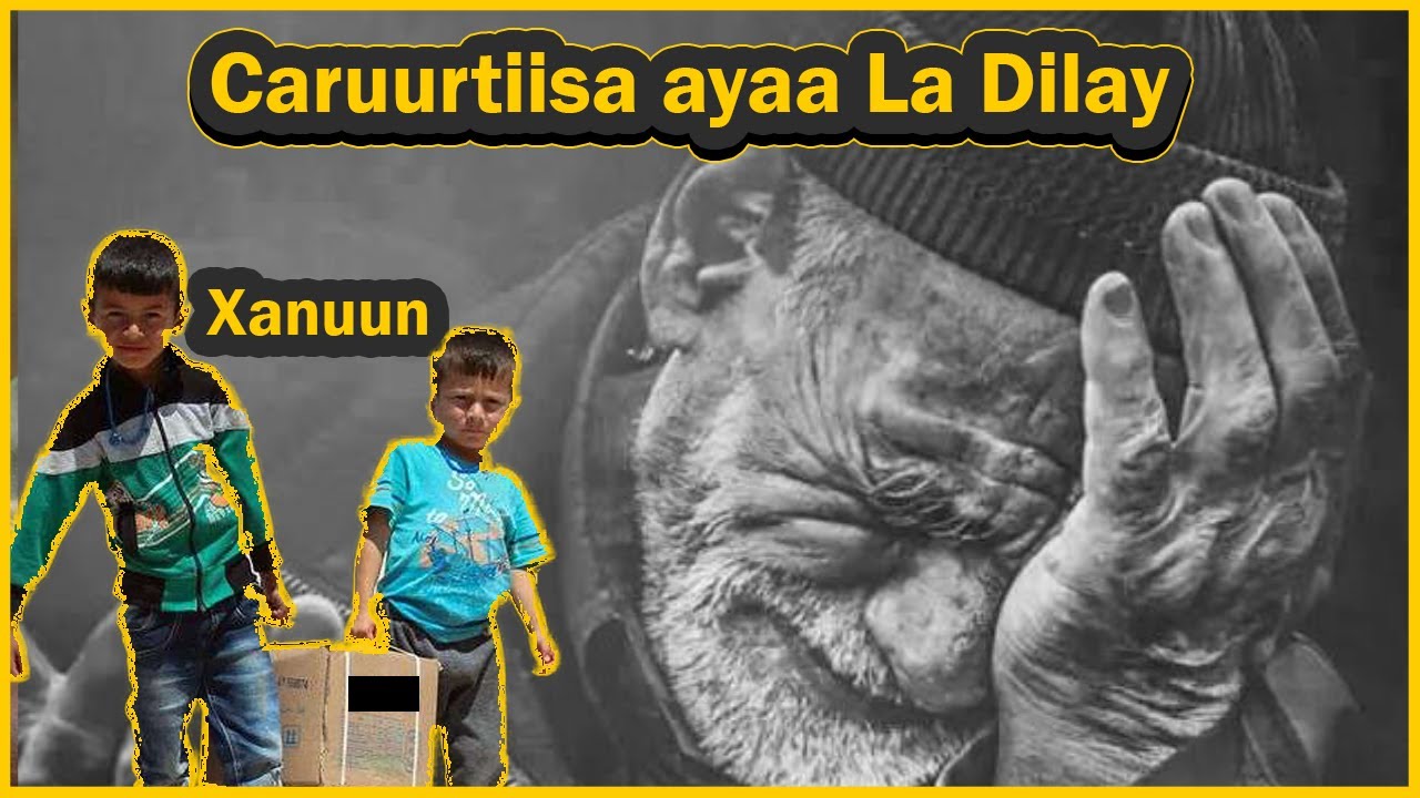 ilmihiisa ayaa Dilay Oo Ariga u raaci jirey | QIso xanuun badan