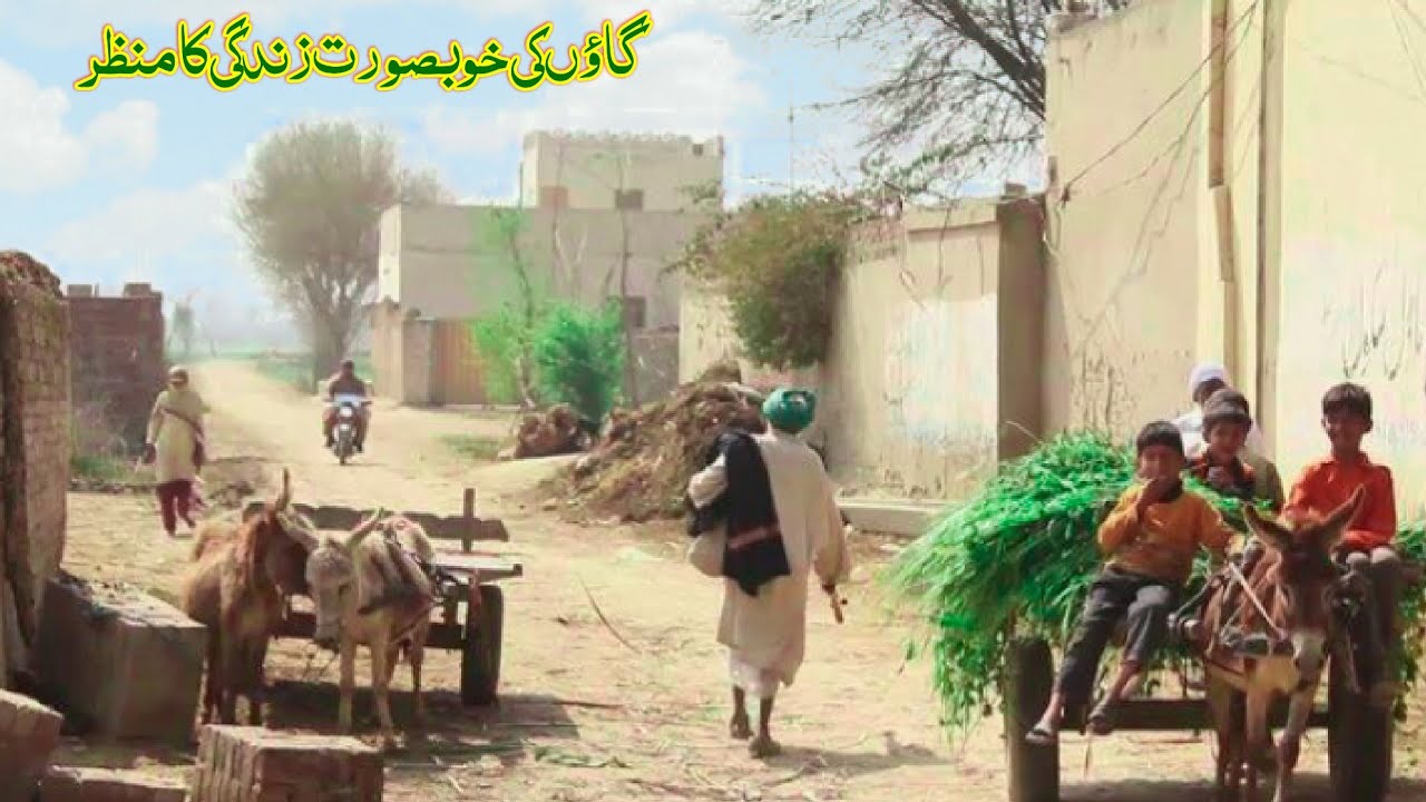 Sindh village life vlog || Sindh village life in Pakistan