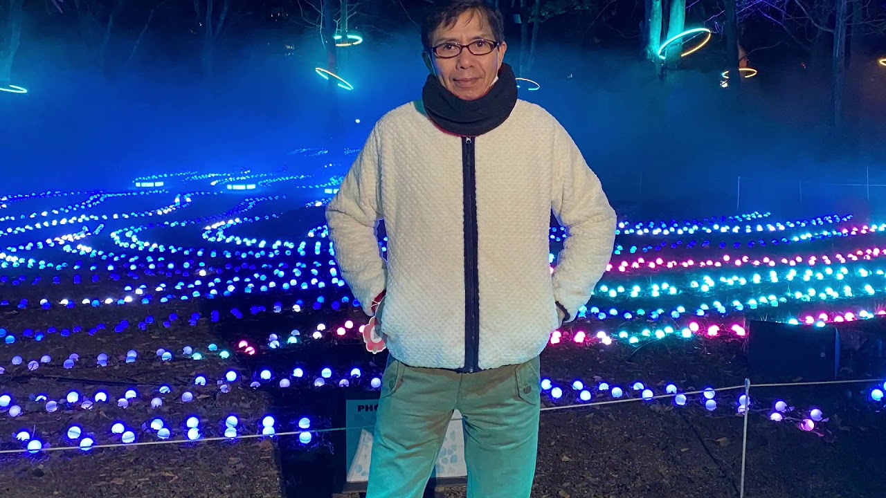 Osaka Castle 🏯  (Sakuya Lumina) illumination