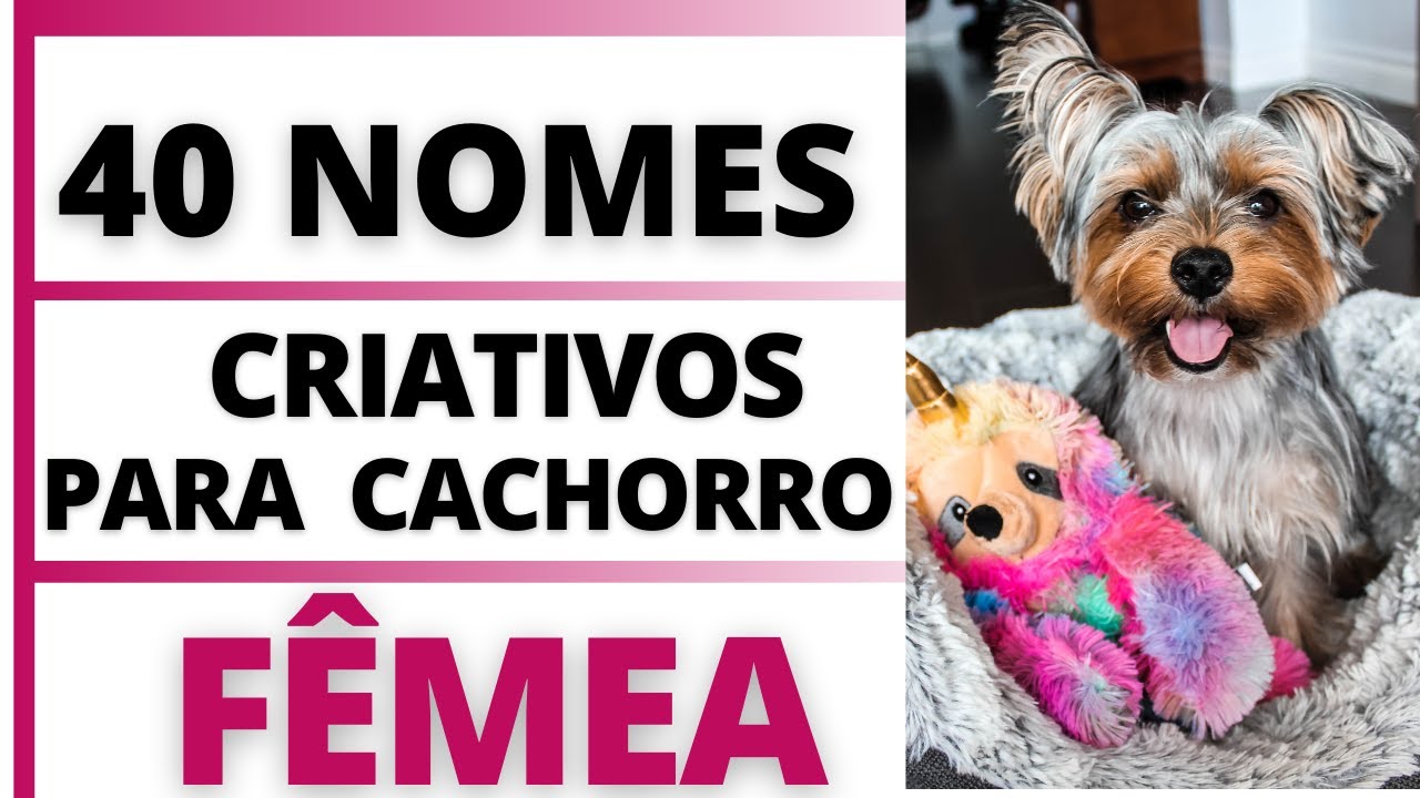 NOMES CRIATIVOS PARA CACHORRO FÊMEA🐶😍💟