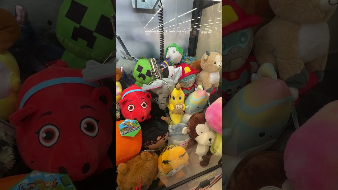 I Can't Believe This Happened at The Claw Machine...