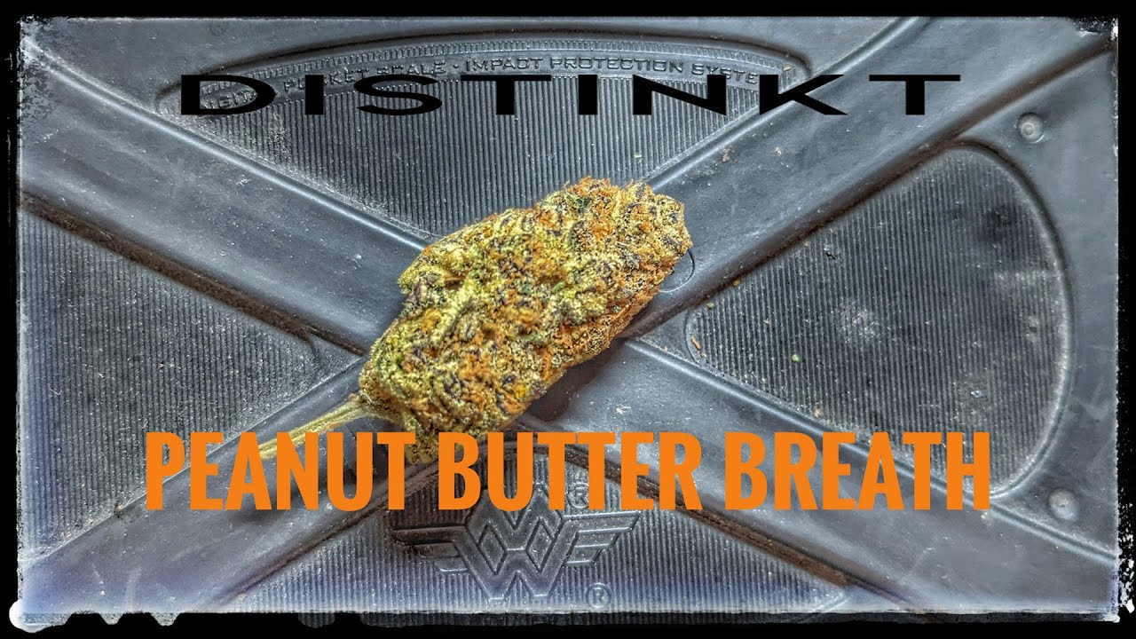 Strain Review - Peanut Butter Breath - Distinkt Cannabis