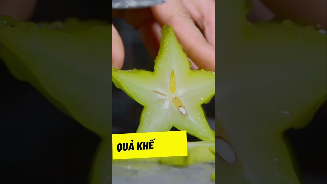 This is star fruit tree | learn vietnamese