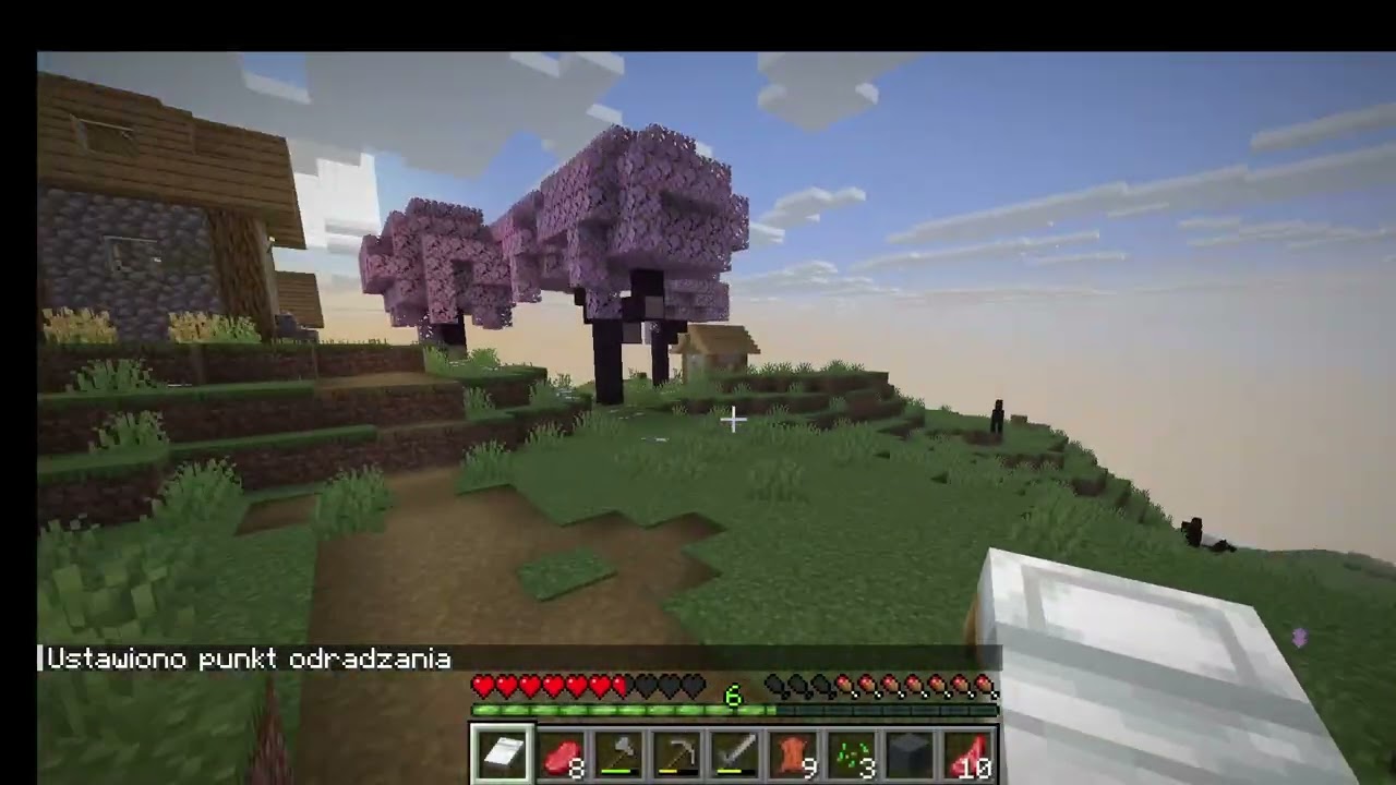 minecraft odc 2