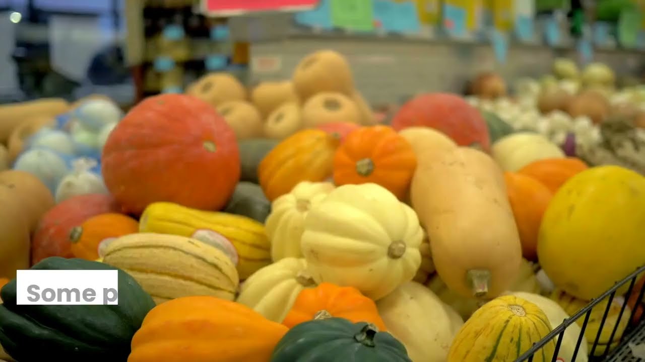 How to Grow Delicious Squash At Home: A Step-by-Step Guide