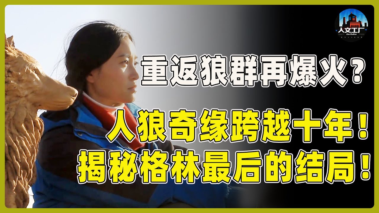 《重返狼群》再度爆火？人狼奇缘跨越十年！揭秘格林最后的结局！#重返狼群 #李微漪 #马未都#许子东#尹烨#圆桌派 #圆桌派第八季 #格林