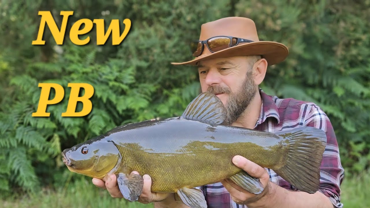 Tench Frenzy  - A Good Deed leads to a New Personal Best