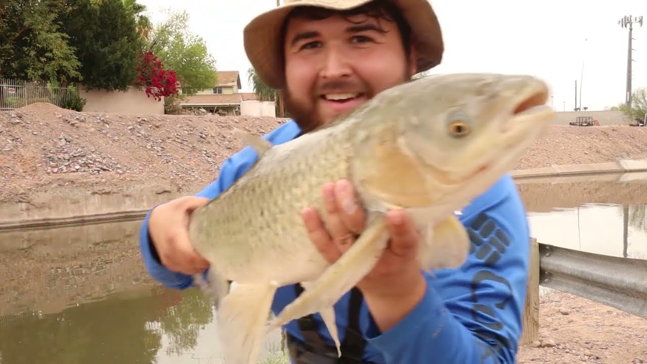 Arizona Canal Fishing (Lost a Giant)