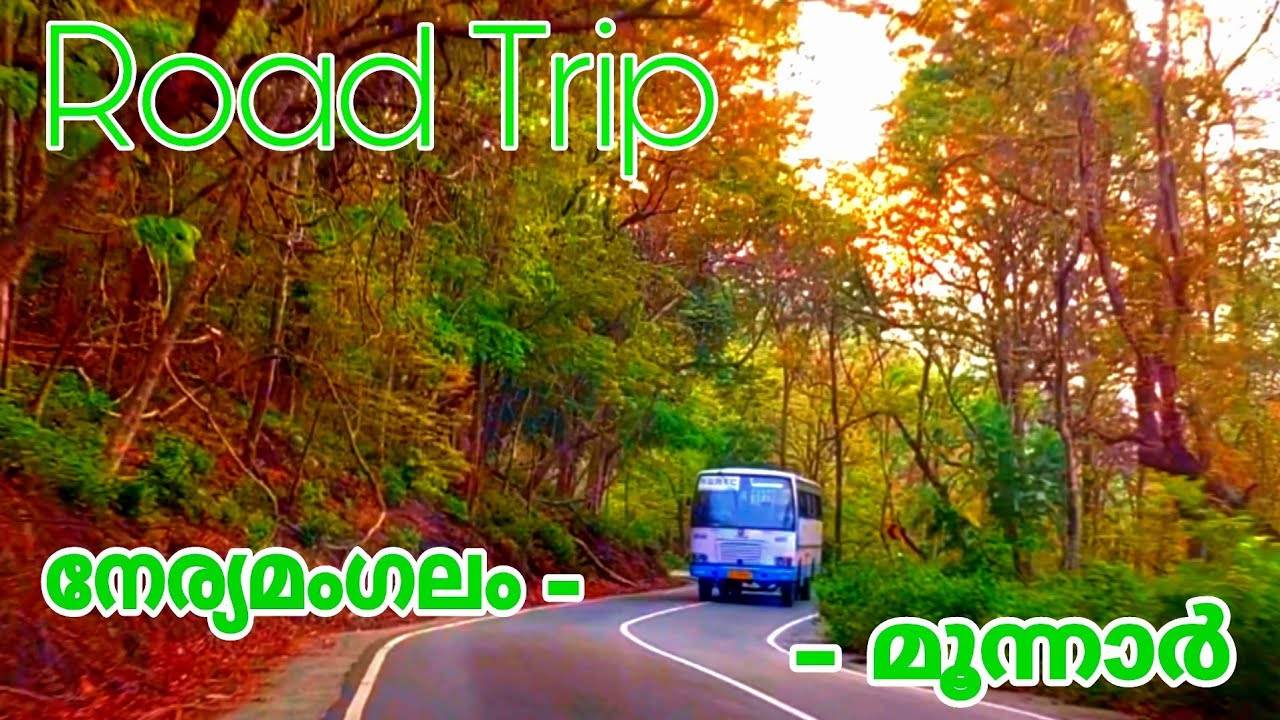 നേര്യമംഗലം കാട്ടിലൂടെ മൂന്നാറിലേക്ക് // Road Trip to Munnar // Neriamangalam to Munnar