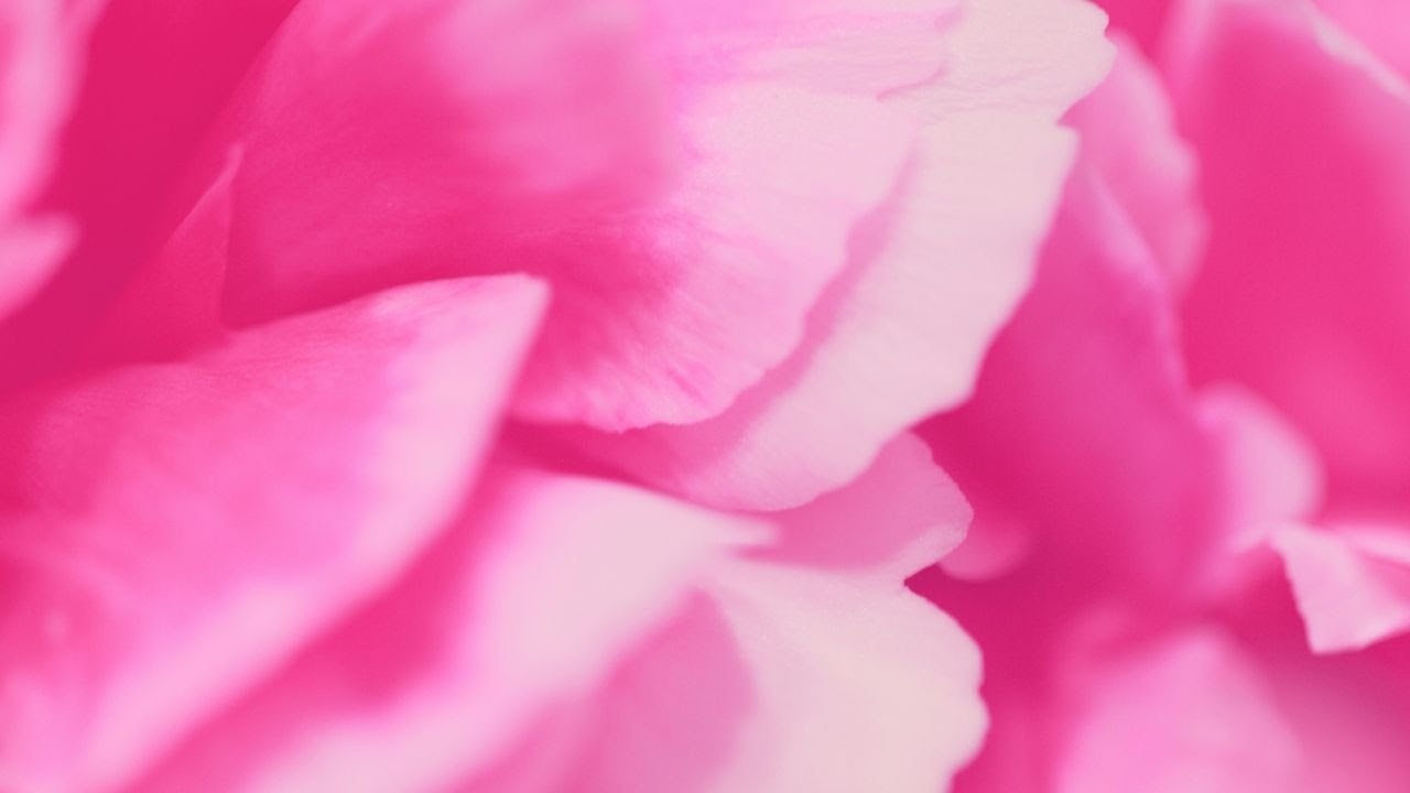 #46 Relaxing Music: Warm Synth - Awaken Your Senses