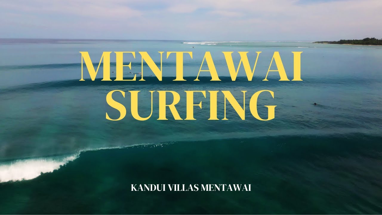 SURFING MENTAWAI SPOT CHECK 