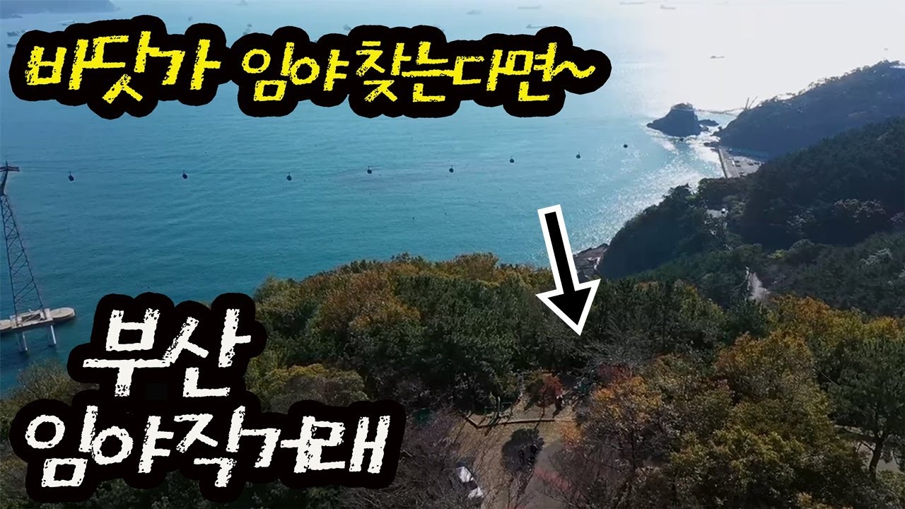 (직거래매물)  바다조망 임야 찾는다면 부산 송도해수욕장 옆 임야매매 분할가능 2억대 통매매가능