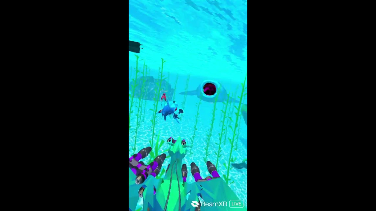shark goooooo