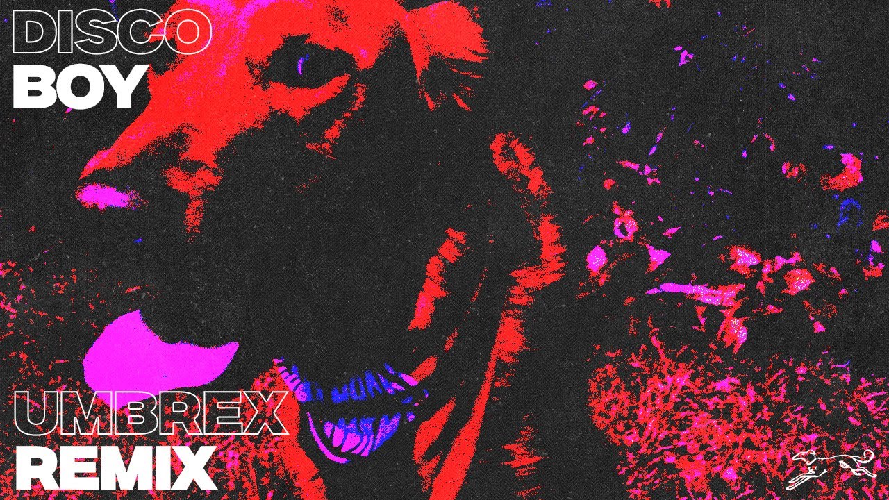 Disco Lines - Disco Boy (UMBREX Remix)