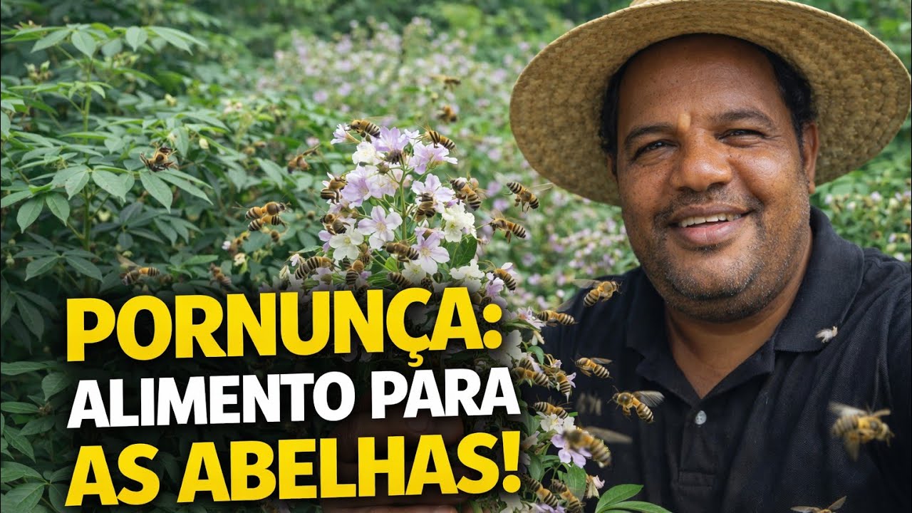 ESSA PLANTA VALE A PENA TER NA ROÇA 